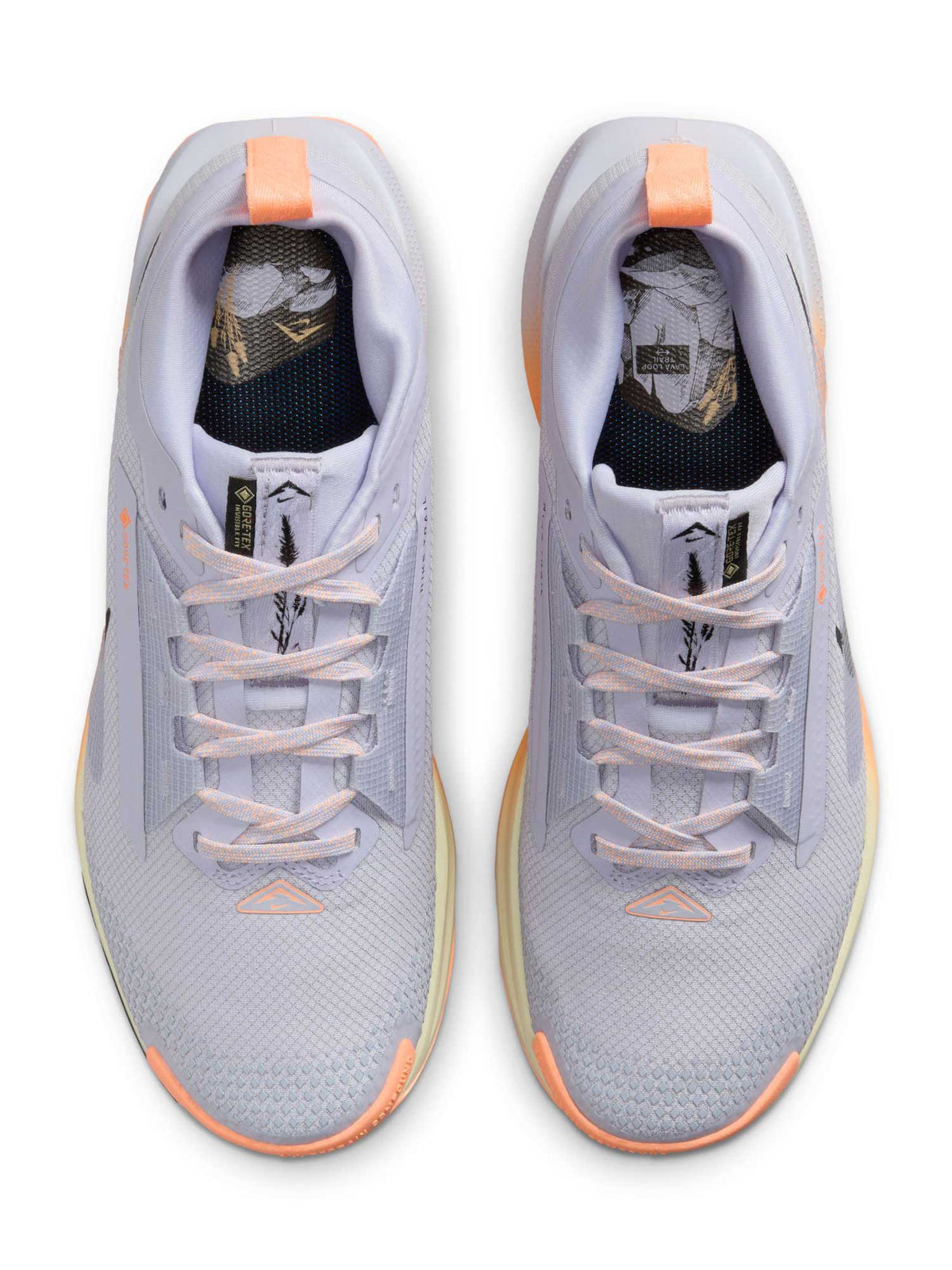 NIKE Обувки W PEGASUS TRAIL 5 GTX