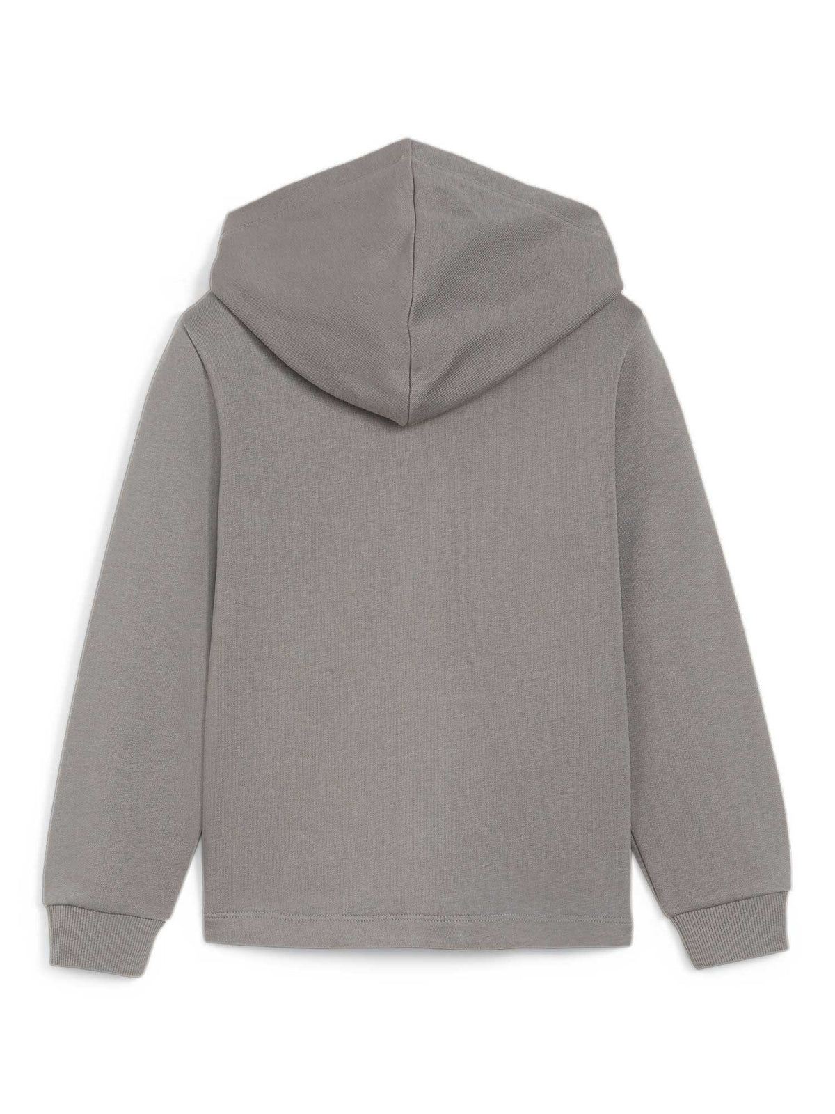 PUMA Суитшърт ESS+ SUMMER CAMP Full-Zip Hoodie TR