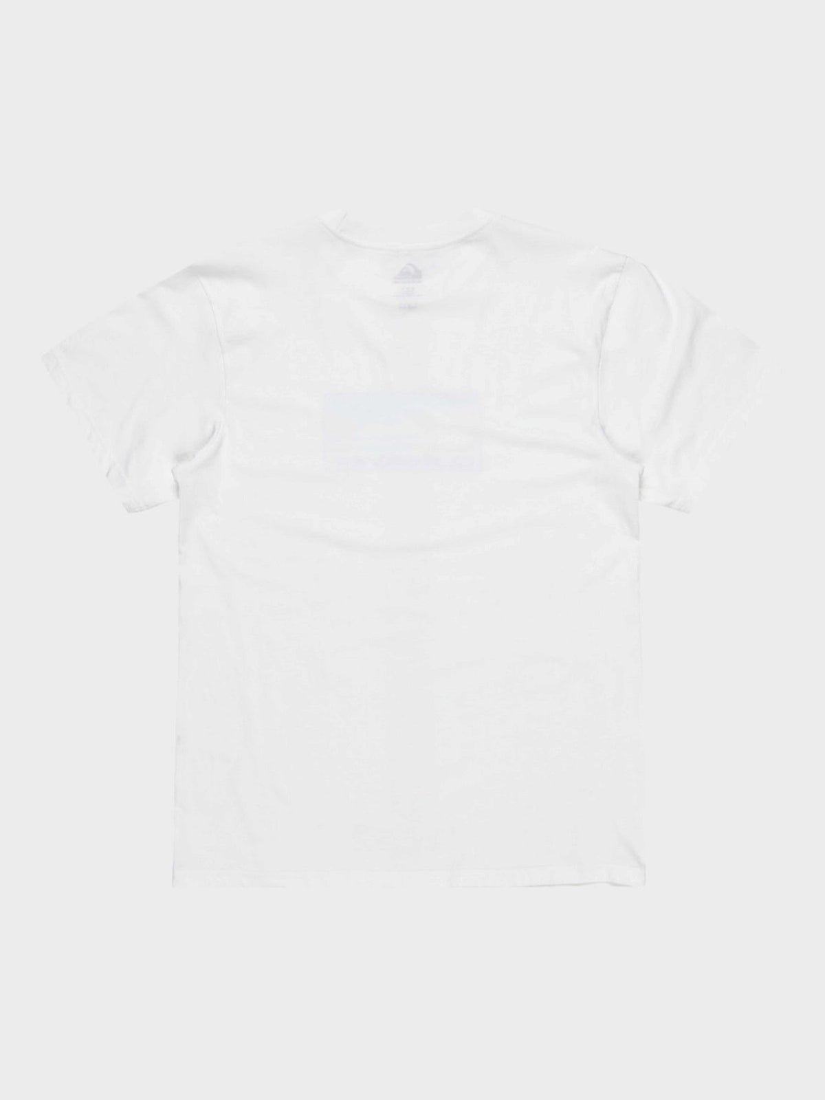 QUIKSILVER Тениска EV GRADIENT BOX SS