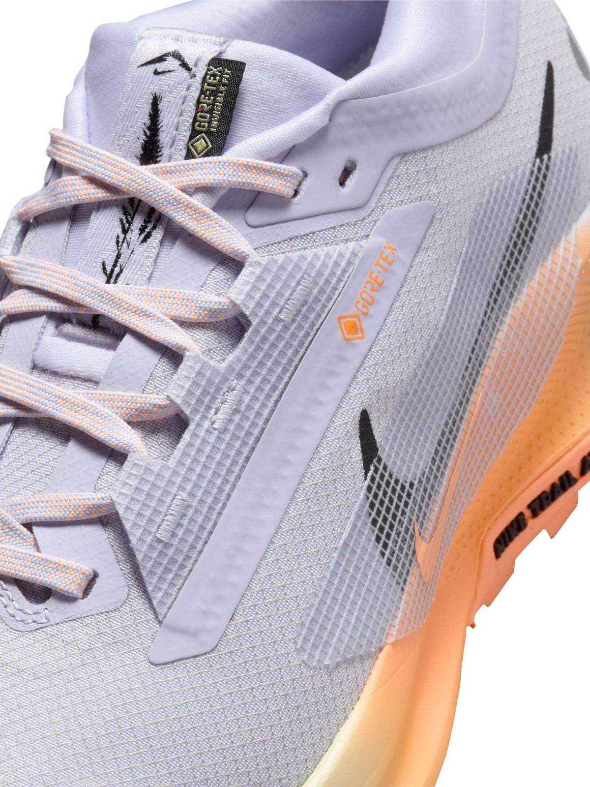 NIKE Обувки W PEGASUS TRAIL 5 GTX